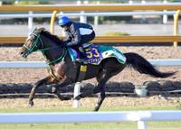 【有馬記念】エピファＧＰで最強証明だ