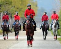 【ホープフルＳ】ティルナノーグ太鼓判