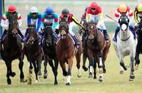 【有馬記念】ジェンティル７冠締め