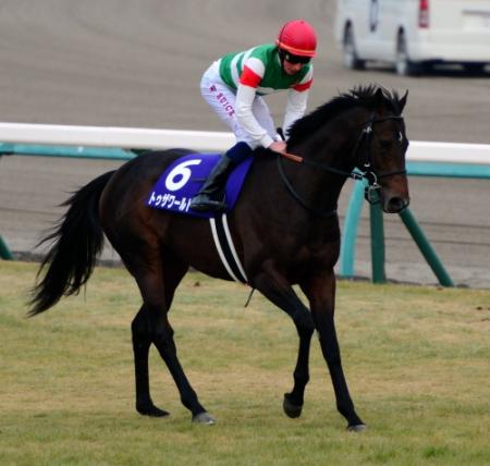 　有馬記念で２着と好走したトゥザワールド＝中山競馬場（撮影・三好信也）