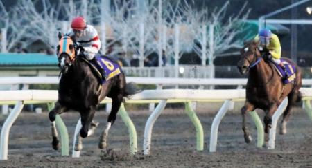 東京大賞典】タルマエが連覇達成/競馬・レース/デイリースポーツ online