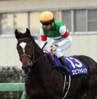 【有馬記念】エピファネイア悔し５着