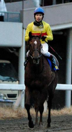 　２着に敗れたコパノリッキー