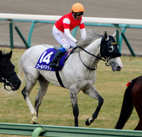 ゴールドシップ宝塚記念Ｖ３目指す！