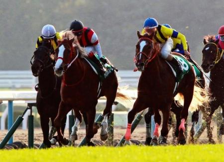 　エキストラエンド（左）をかわし逃げ切ったウインフルブルーム（左から２頭目）＝撮影・石湯恒介