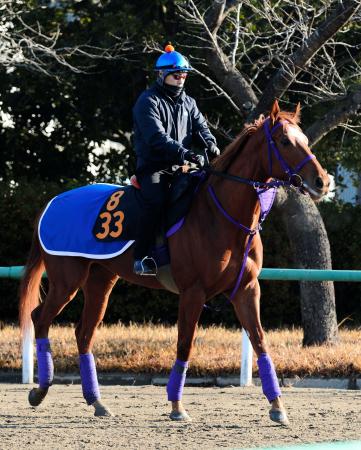 　フェアリーＳで重賞初Ｖを目指すトーセンラーク