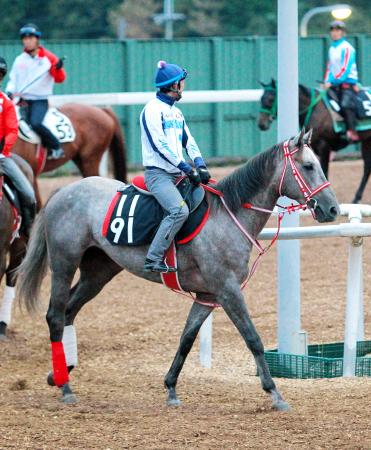 シンザン記念 レンイングランド成長 競馬 レース デイリースポーツ Online