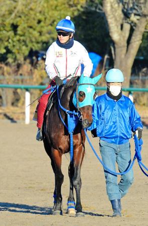 　京成杯で巻き返しを狙うマイネルシュバリエ
