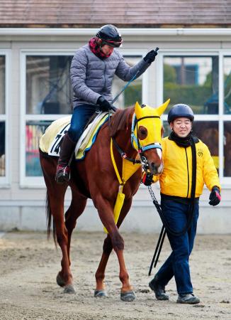 　日経新春杯で賞金加算を狙うタマモベストプレイ（撮影・石湯恒介）