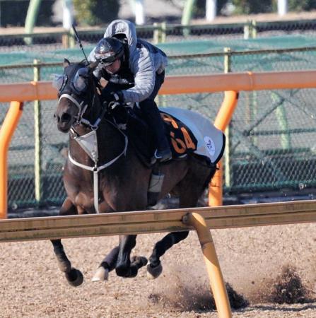 　美浦Ｗで力強い走りを見せたバルビエール（撮影・田村亮介）