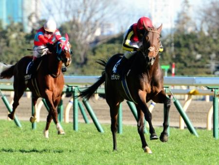 ９Ｒ、５馬身の圧勝でセントポーリア賞を制したドゥラメンテ（右）＝東京競馬場（撮影・三好信也）