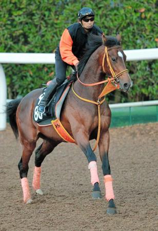 　期待の良血馬ポルトドートウィユ