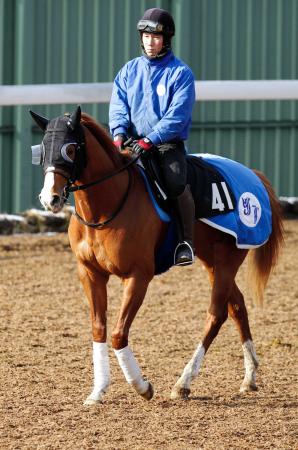 　重賞初Ｖを狙うアッシュゴールド