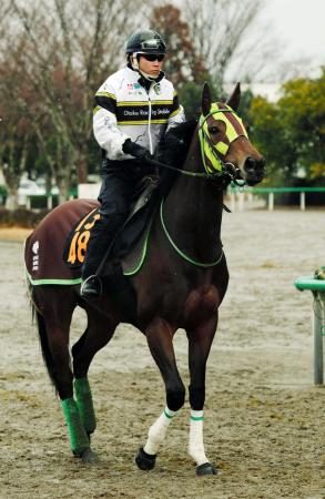 　２戦２勝の牝馬ルージュバックが牡馬を相手に重賞獲りを目指す