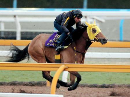 　栗東ＣＷでハープスターは順調な仕上がりを誇示した