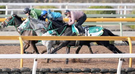 　栗東ＣＷで追われたフルーキー（手前）