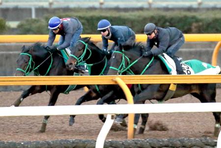 　栗東ＣＷで追われたエキストラエンド（中）。昨年２着の雪辱へ態勢は上々