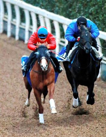 　池添を背に栗東坂路で追い切るアッシュゴールド（左）。１週前とは反応が激変した