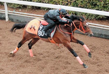 　ポルトドートウィユは栗東坂路を弾むような動きで駆け抜けた（撮影・石湯恒介）