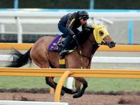 【京都記念】ハープスター６Ｆ８０秒７