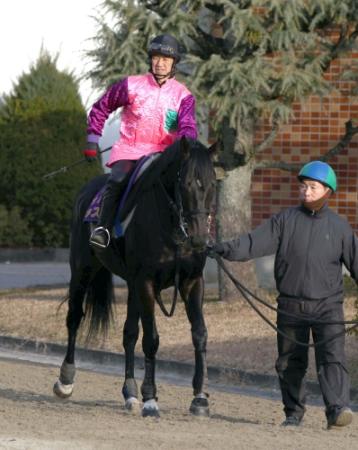 　京都記念に向け調整するキズナ＝栗東トレセン