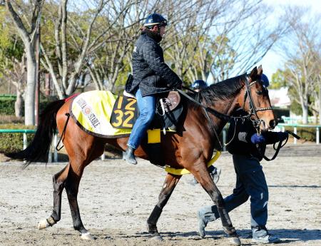 　デイリー杯クイーンＣで重賞初制覇を狙うメイショウメイゲツ