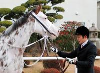 【チューリップ賞】ブチコ豊と新コンビ