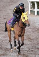 【京都記念】ハープスター馬体成長