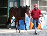 【共同通信杯】ティルナノーグ巻き返す