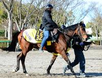 【クイーンC】メイゲツ賞金加算だ