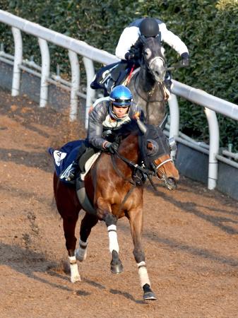 　栗東坂路で併走馬をぶっちぎったロカ（手前）＝撮影・山口登