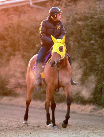 　落ち着いた様子で運動するハープスター（撮影・石湯恒介）