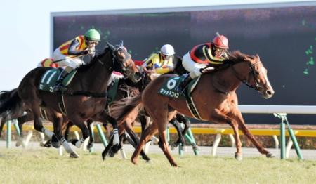 デビュー３連勝でクイーンＣを制したキャットコイン＝東京競馬場（撮影・田村亮介）