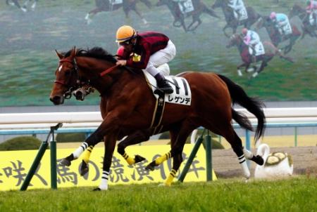 新馬戦を快勝したレゲンデ＝京都競馬場（撮影・石湯恒介）