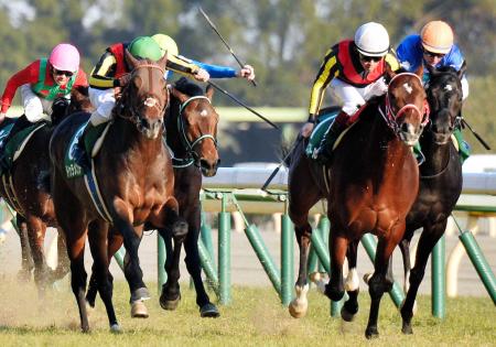 　直線たたき合うドゥラメンテ（左）とリアルスティール（撮影・田村亮介）