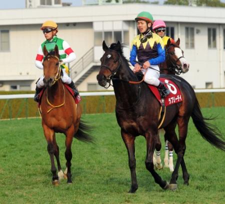 　京都記念を制したラブリーデイ（右）、５着に敗れたハープスター（左）＝撮影・石湯恒介