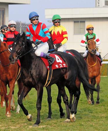 　３着に敗れたキズナ（撮影・石湯恒介）