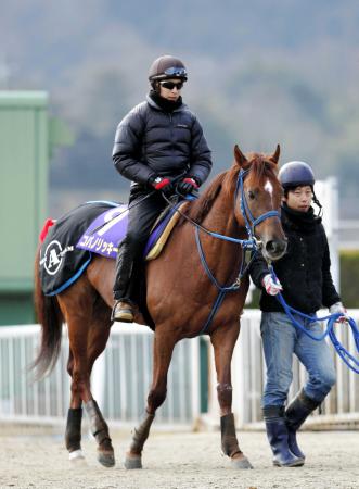 　史上初のレース連覇に挑むコパノリッキー