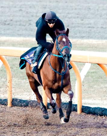 　史上初の連覇を狙うコパノリッキーは栗東ＣＷでラスト重点に躍動した（撮影・石湯恒介）