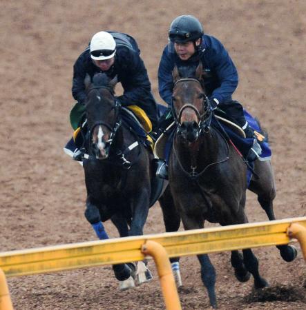 　美浦Ｗで併せ馬を行ったフェイムゲーム（左）＝撮影・三好信也