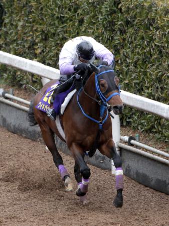 　中２週でもワイドバッハは栗東坂路でしっかり追われた（撮影・山口登）