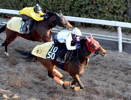 　ムーンエクスプレス（右）は栗東坂路で反応のいい動きを見せた
