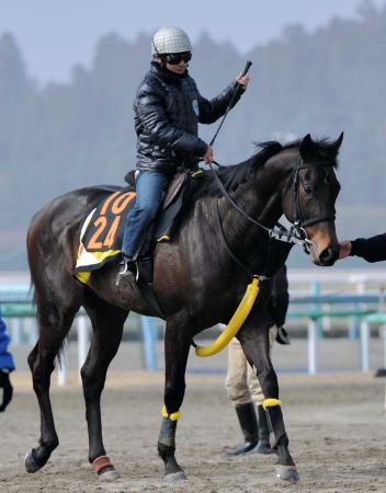 　父マンハッタンカフェ譲りの成長力を示すフォワードカフェが一発を狙う
