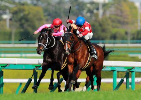 　ワンダーアツレッタ（左）を競り落とすレッドソロモン（撮影・石湯恒介）