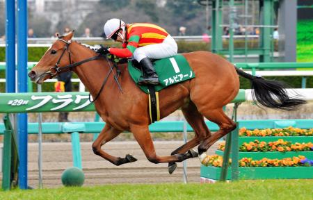 　逃げ切ってフラワーＣを制したアルビアーノ（撮影・田村亮介）