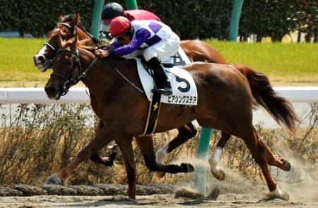 ４Ｒ、ジャイロスコープ（奥）に競り勝ち世代最後の新馬戦を制したピアシングステア＝中山競馬場