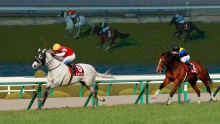 一度は並ばれたデニムアンドルビー（右）をゴール前で突き放すゴールドシップ＝阪神競馬場（撮影・石湯恒介）