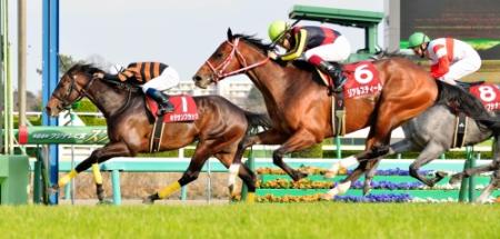 無傷の３連勝でスプリングＳを制したキタサンブラック（左奥）＝中山競馬場