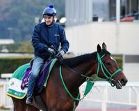 【大阪杯】ルメールいよいよデビュー