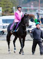 【大阪杯】キズナ“最強”改めて誇示だ